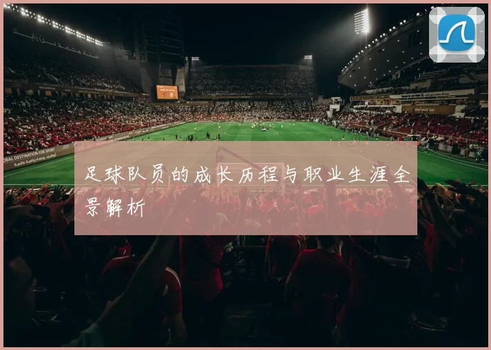 足球队员的成长历程与职业生涯全景解析