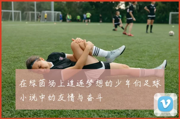 在绿茵场上追逐梦想的少年们足球小说中的友情与奋斗