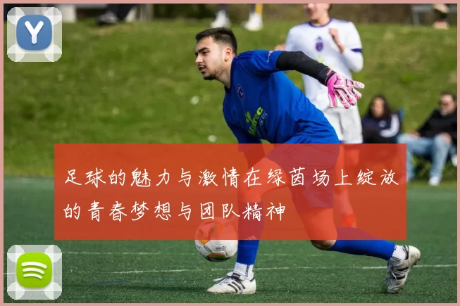 足球的魅力与激情在绿茵场上绽放的青春梦想与团队精神